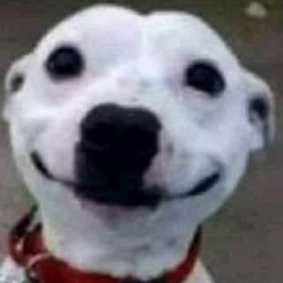 Dog lover’s theme macrame multi tone bracelet - Picture 7 of 8